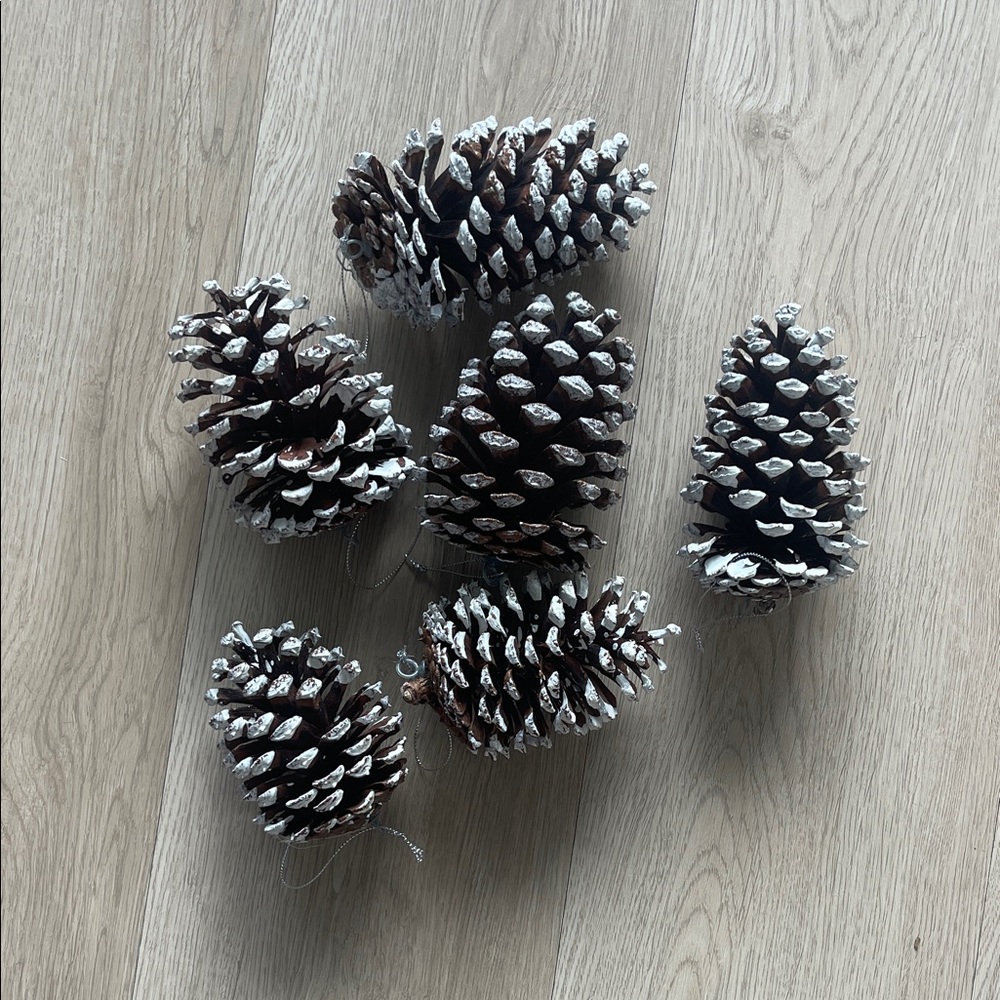 Extra Large Natural Pinecones Snow Tipped